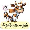 nažehlovačka, NNF11