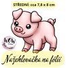 nažehlovačka NNF13 2 mini 1 kus