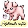 nažehlovačka, NNF13