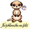 nažehlovačka, NNF16