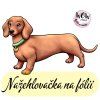 nažehlovačka, NNF23