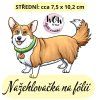 nažehlovačka, NNF24 střední nažehlovačka