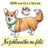 nažehlovačka, NNF24 střední nažehlovačka