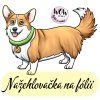 nažehlovačka, NNF24
