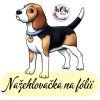 nažehlovačka, NNF25