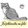 nažehlovačka, NNF26