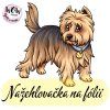 nažehlovačka, NNF27