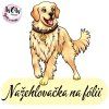 nažehlovačka, NNF28