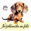 nažehlovačka, NNF32