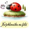 nažehlovačka, NNF36