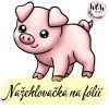 nažehlovačka, NNF58