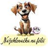 nažehlovačka, NNF109