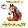 nažehlovačka,NNF111 větší nažehlovačka