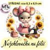 nažehlovačka, NNF31