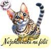 nažehlovačka, NNF235