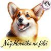 nažehlovačka, NNF259