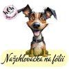 nažehlovačka, NNF262