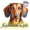 nažehlovačka, NNF264