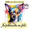 nažehlovačka, NNF2651 větší nažehlovačka