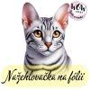 nažehlovačka, NNF272