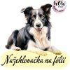 nažehlovačka, NNF312