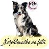 nažehlovačka, NNF313