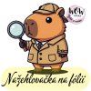 nažehlovačka, NNF419