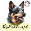 nažehlovačka, NNF261