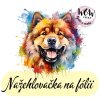 nažehlovačka, NNF679