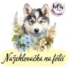 nažehlovačka, NNF681