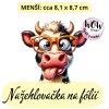 nažehlovačka, NNF670 menší