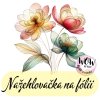 nažehlovačka, NNF684