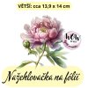 nažehlovačka, NNF691 větší nažehlovačka
