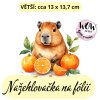 nažehlovačka, NNF698 větší nažehlovačka