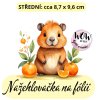 nažehlovačka,NNF699 střední nažehlovačka