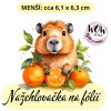nažehlovačka, NNF701 menší
