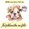 nažehlovačka, NNF703 větší nažehlovačka
