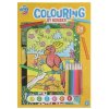150143 colouring book