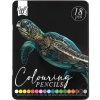 colouring pencils 18pcs tin box craft id