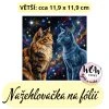 nažehlovačka, NNF751 větší nažehlovačka