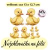 nažehlovačka, NNF 772