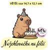 nažehlovačka,NNF799 větší nažehlovačka