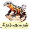nažehlovačka, NNF801
