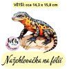 nažehlovačka,NNF801 větší nažehlovačka