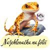 nažehlovačka, NNF802