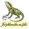 nažehlovačka, NNF803