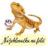 nažehlovačka, NNF804