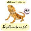 nažehlovačka,NNF804 větší nažehlovačka