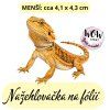nažehlovačka, NNF804 menší