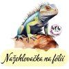 nažehlovačka, NNF806